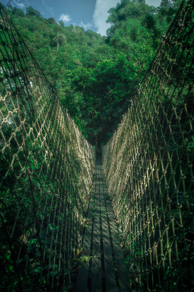 Tree Top Explorer - Jungle Bridge - Bolvaven Plateau © PhotoTravelNomads.com