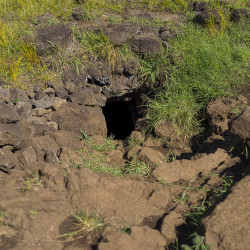 Höhleneingang Ana Kakenga - Osterinsel / Chile © PhotoTravelNomads.com