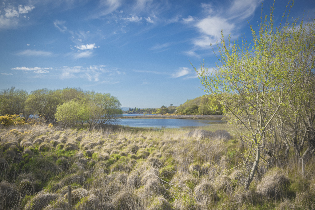 Irland Reiseblog: Killarney National Park © PhotoTravelNomads.com