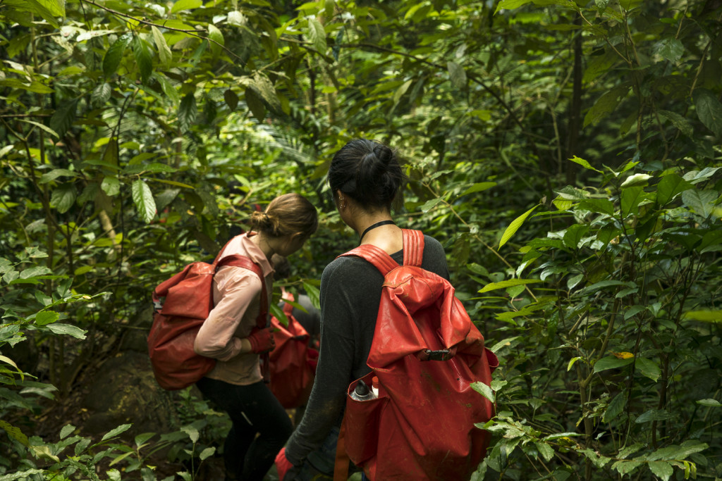 Quer durch den Jungle - Tu Lan Explorer Tour in Phong Nha © PhotoTravelNomads.com