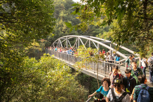 Massentourismus im Zhangjiajie National Forest Park