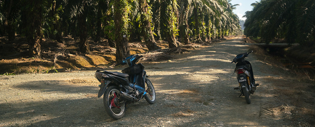 Elefantenjagd mit dem Motorrad auf Borneo © PhotoTravelNomads.com