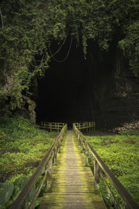 Gomantong Cave Entrance © PhotoTravelNomads.com