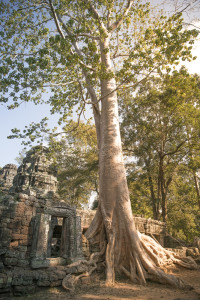 Siem Reap - Tempel bei Angkor Wat © PhotoTravelNomads.com