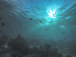 Sipadan Island Diving © PhotoTravelNomads.com