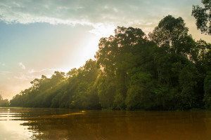 Ox-Bow Lake - Kinabatangan River Cruise - Osman Homestay © PhotoTravelNomads.