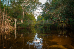 Der Weg zum Suoi Tranh Wasserfall in Phu Quoc © PhotoTravelNomads.com