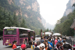 Shuttle Bus zu den Avatar Mountains