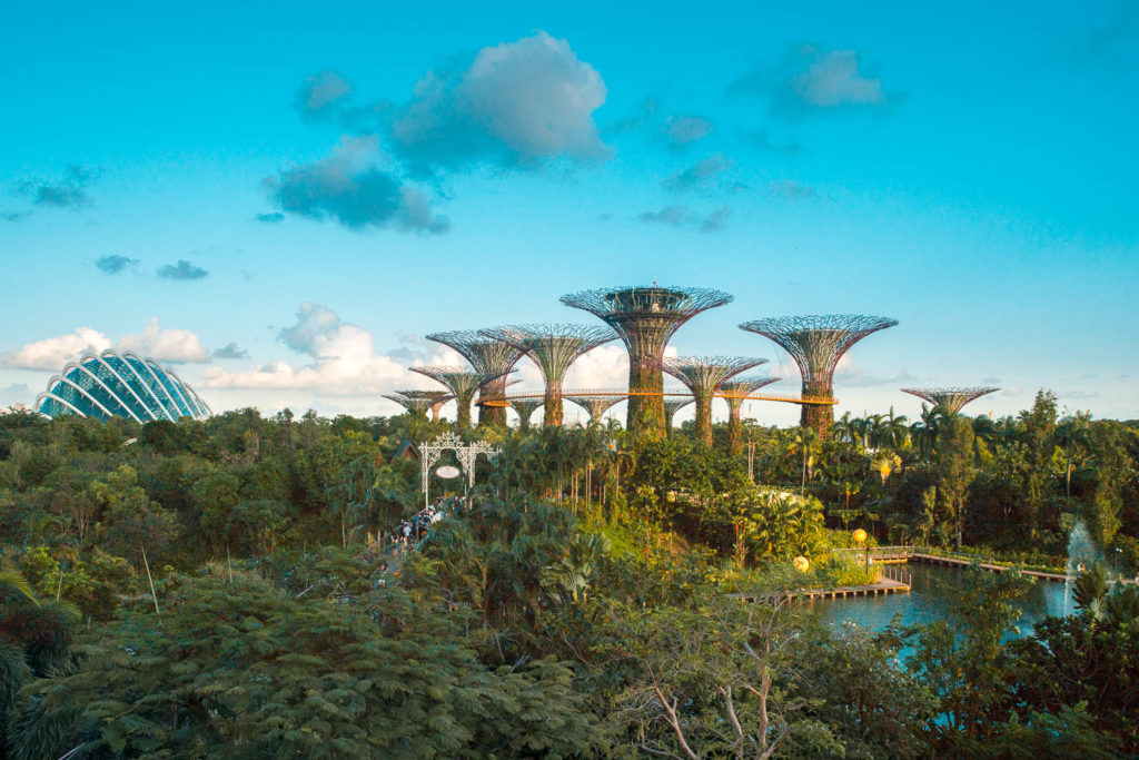 Die riesigen Bäume in Singapur Gardens by the Bay
