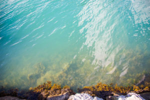 Glasklares Wasser am Fjord
