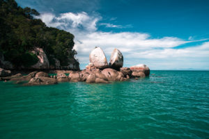 Sailing Adventure Abel Tasman