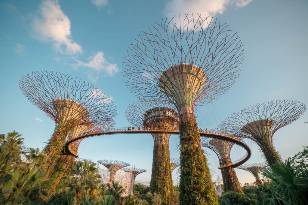 Die riesigen Bäume in Singapur Gardens by the Bay