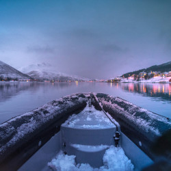 Zodiac Whale Watching Tour in Tromsø Norway